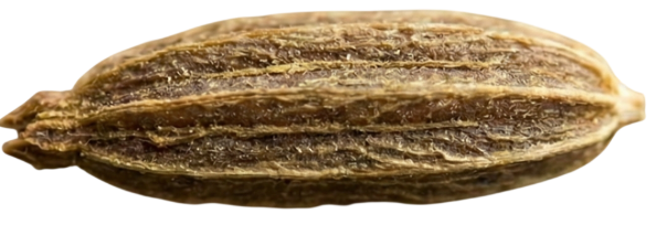 Cumin
